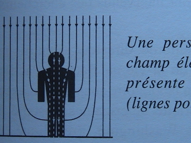 Les champs électromagnétiques pénètrent-ils dans notre corps ? Réponse dans la lecture vidéo du chapitre 5 “Les effets prouvés des champs électromagnétiques dans notre corps”